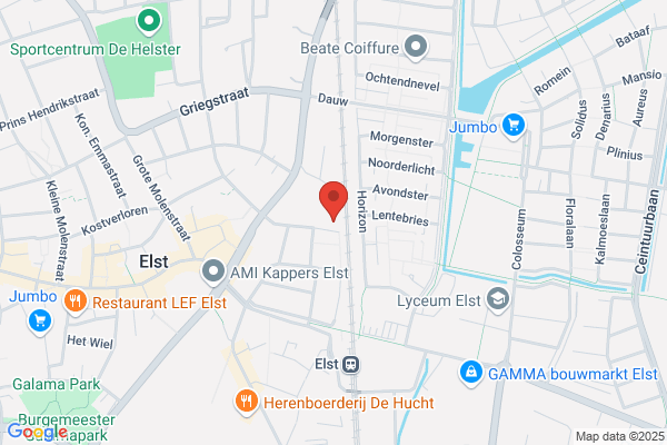 Elst