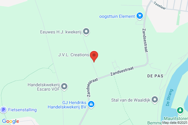 Gerberakwekerij Jan Eeuwes Bv