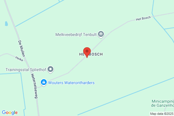 Dierenhotel Door Dik En Dun