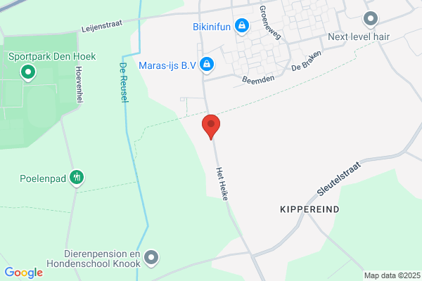 Gompel, Ellen Van