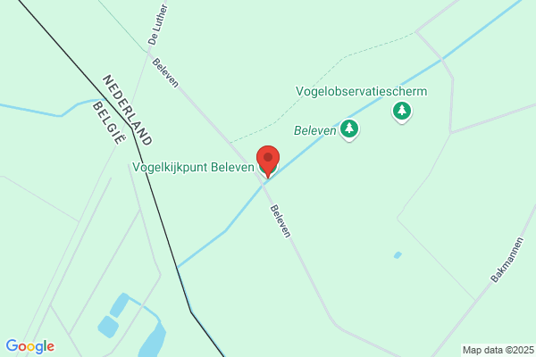 Van Tongerlo