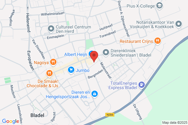 Domino's Pizza Bladel