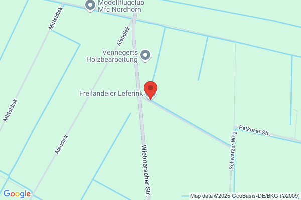 Leferink, F A