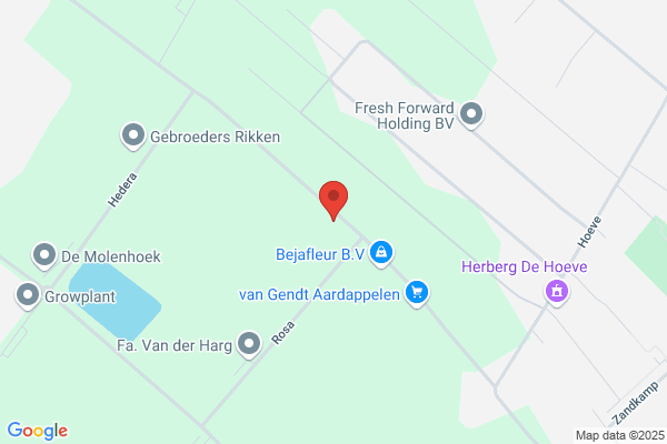 Mediation Nederland