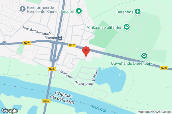 Dynamiek Trainingen
