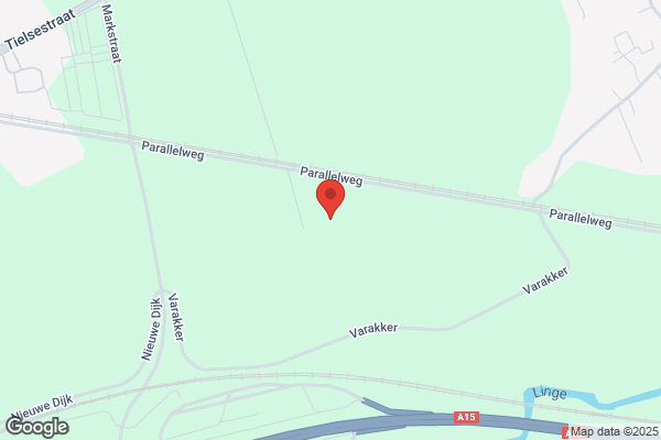 Betuwe Plant Bv