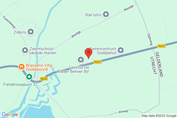 Leijen, Van