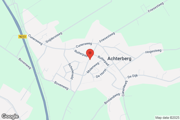 Dorpshuis, Het