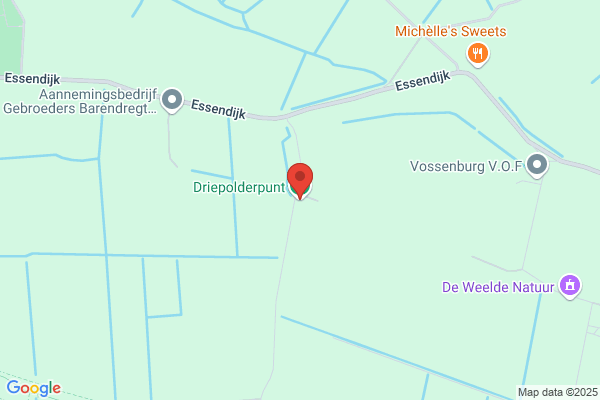 Driepunt Bv