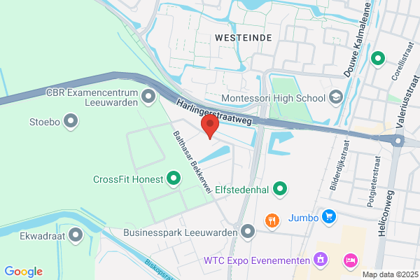 Meesterschilders Friesland