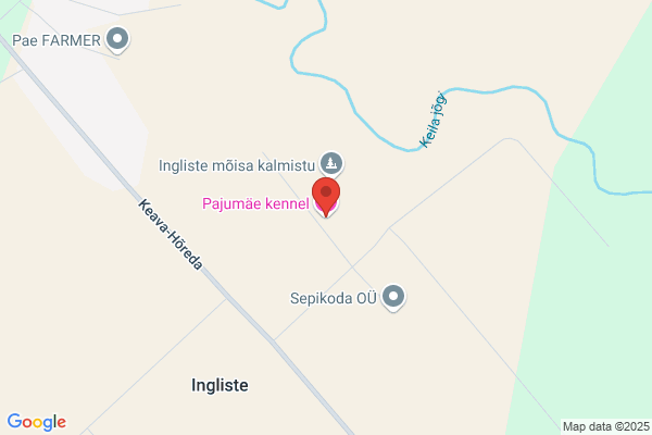 Buma Kennel, J En S