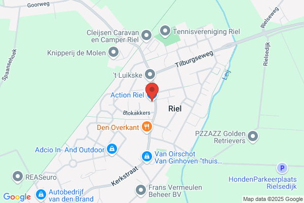 Action Riel