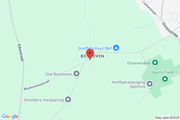 Bogers