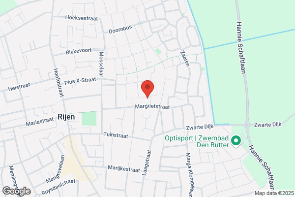 Organisatie Coaching