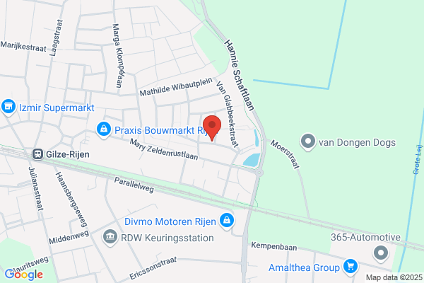 Oerlemans, T J M