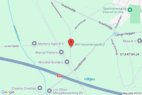 MH Hoveniers