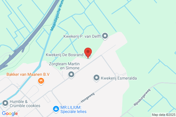 Zanbergen Vianen Orchideeen
