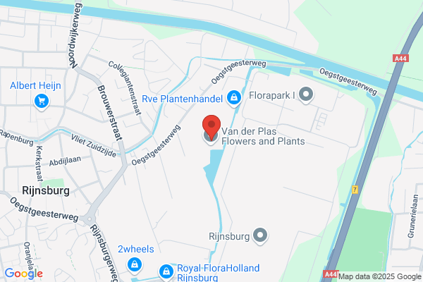 Blumengrosshandel Cor Van Delft