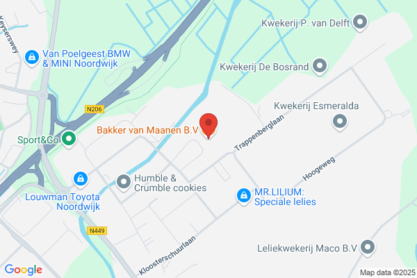 Bakkerij N. Van Rijnswou Bv