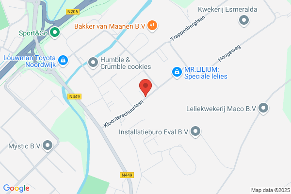 Sport Cult En Vormgeving