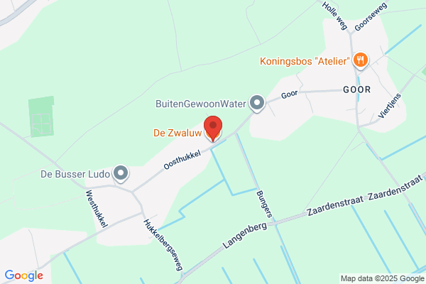 De Zwaluwstaart