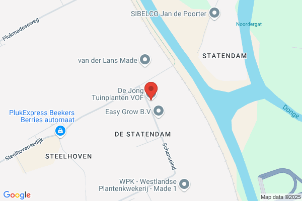 Bouvardiakwekerij De Jong Vof