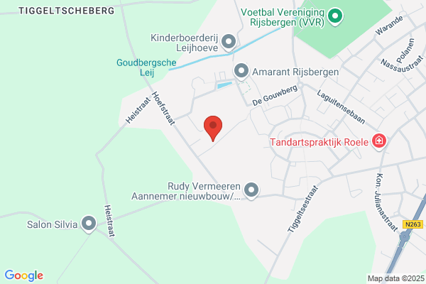 Berenschot Assurantien