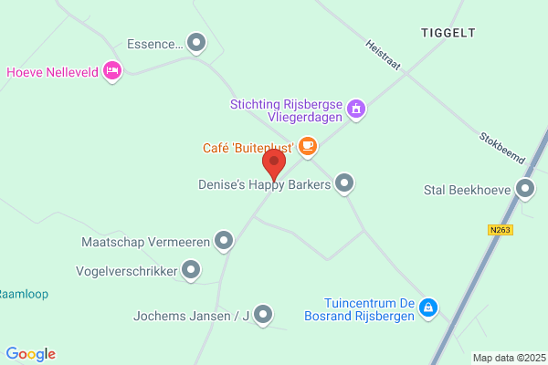 Boomkwekerijen C.A. Domen En Zoon