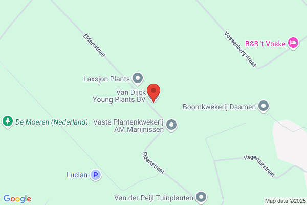 Fr. Van Dijck Boomkwekerij
