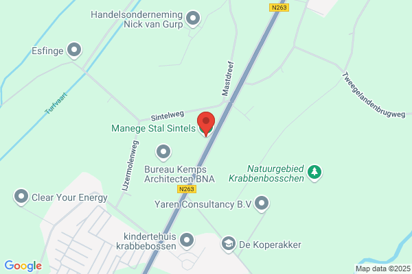Sintels Bv