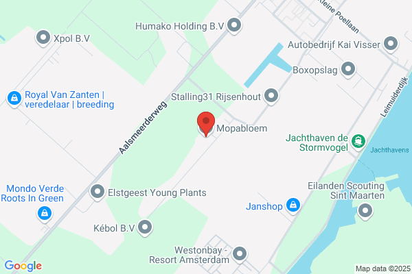 Kwekerij Bak Rijsenhout Bv