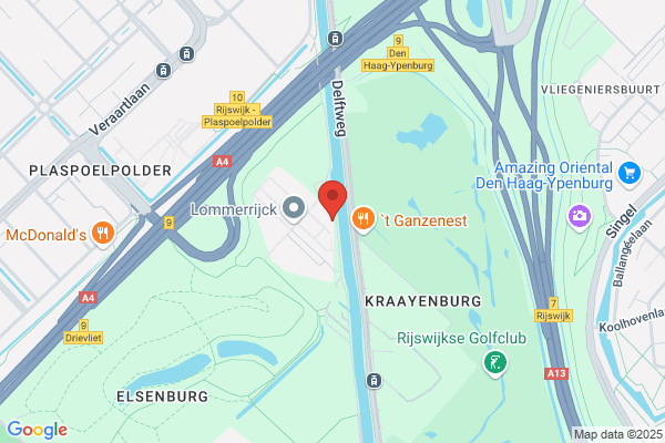 Vitaalleeuw