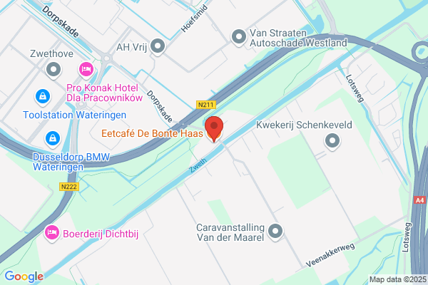 Bonte Haas, De