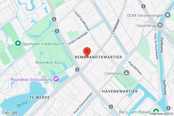 Haarvisie