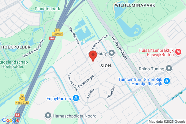Eibrink Jansen J R L P