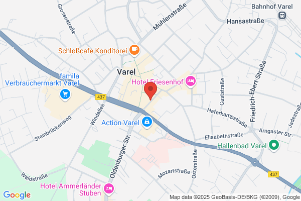 Hivos, Stichting