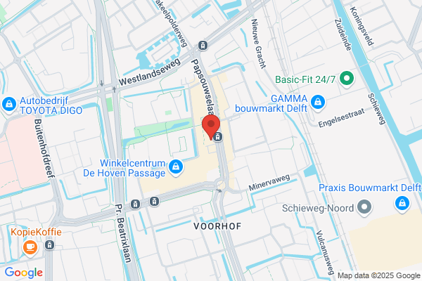 Action Delft