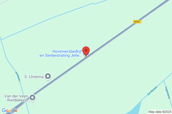 Jong, De