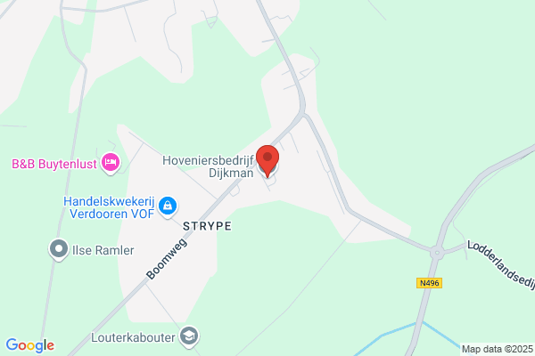 Dijkman Bv Hoveniersbedrijf