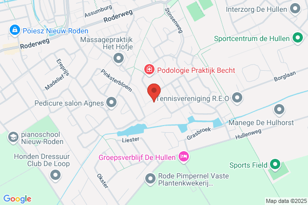 Feenstra, H
