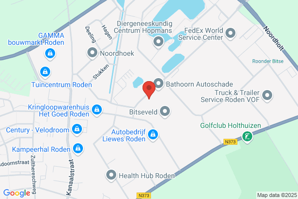 American Classic Cars Het Noorden