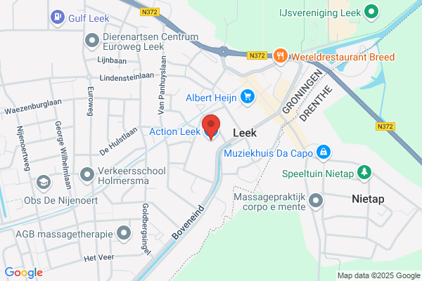 Action Leek