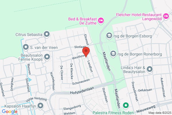 Roover, De