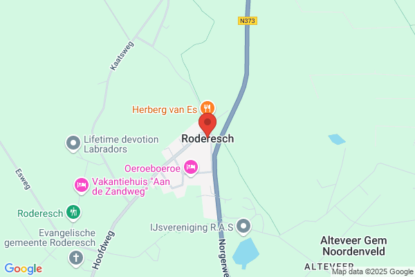 Roona - Wiechers