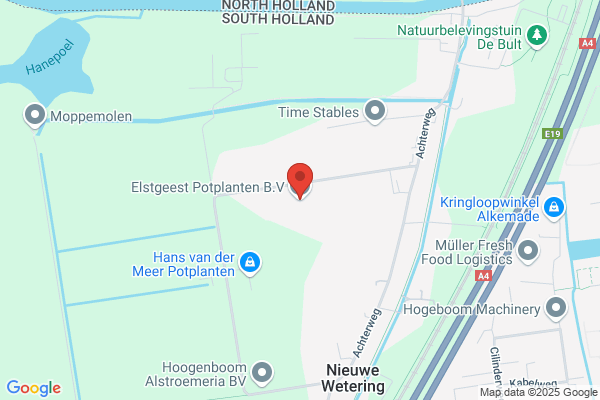 Andre Elstgeest & Zonen
