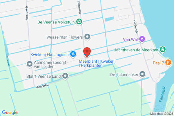 Kwekerij Bouquet Van Der Meer
