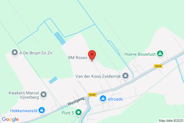 Moerheim Roses & Trading Bv