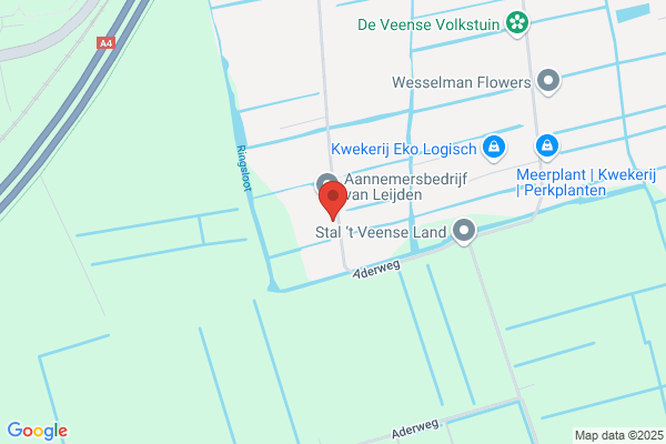Meer, P Van Der