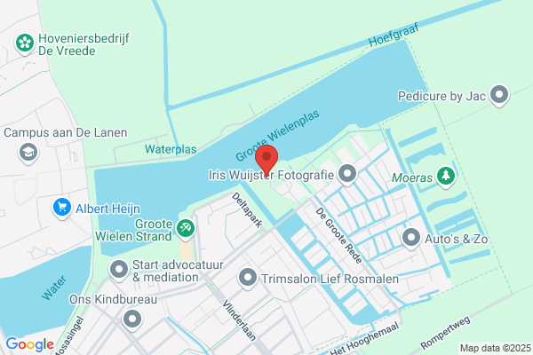 Roessel J van Acupunctuur en Dry Needling