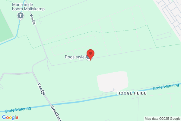 Lieshout